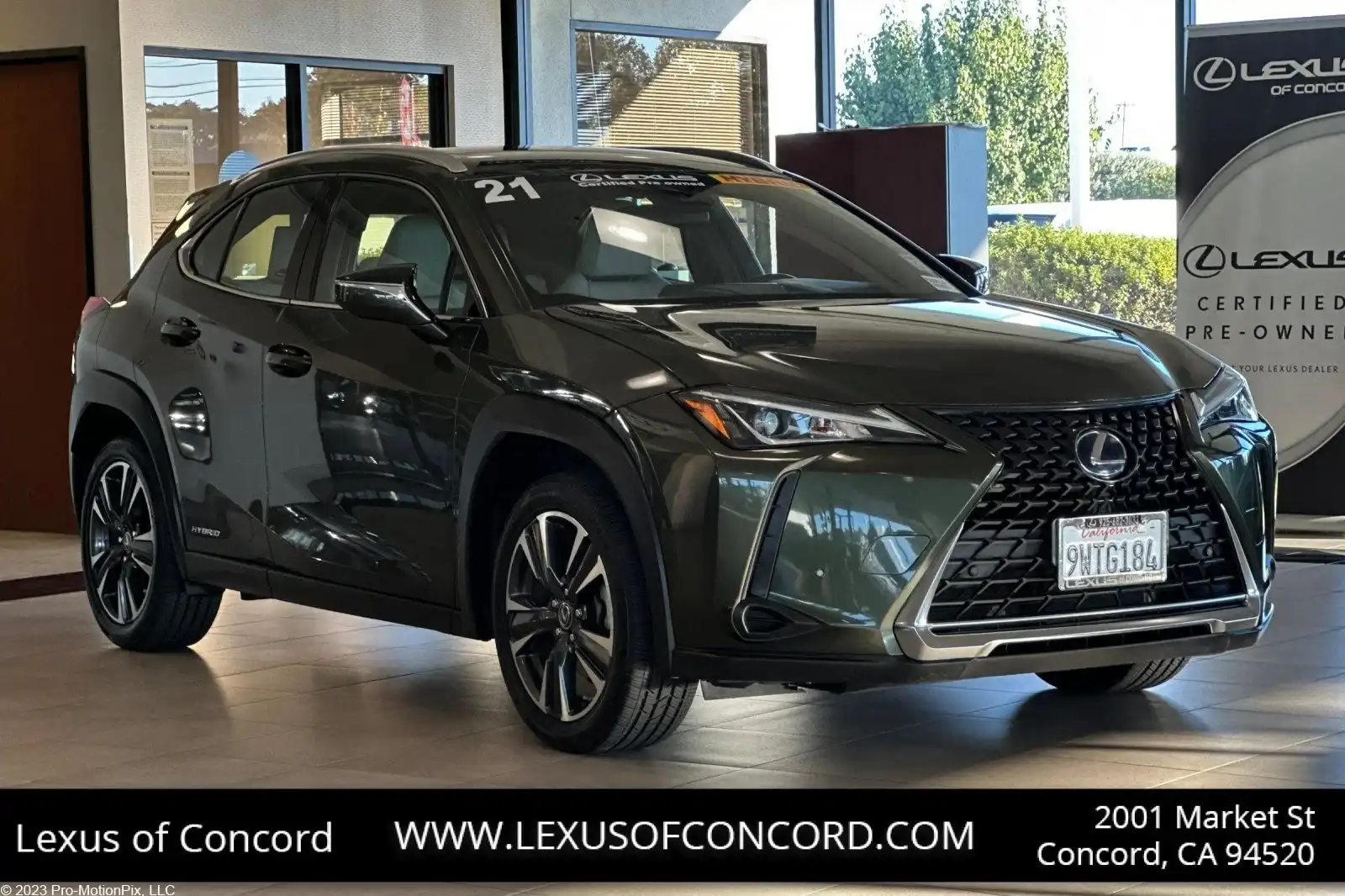 2021 Lexus UX 300h 250h AWD's photo