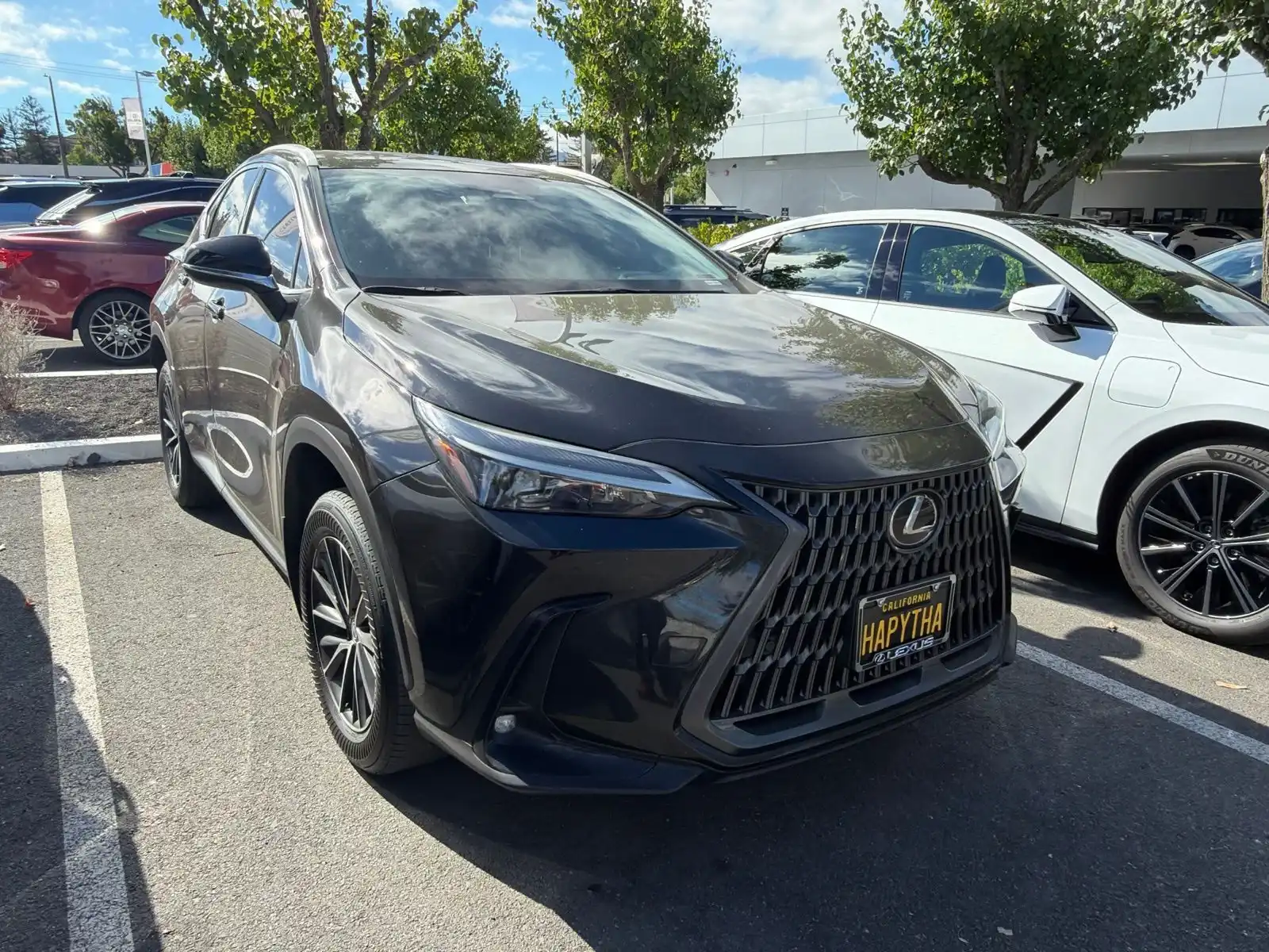 2024 Lexus NX 350h 350h Premium AWD's photo