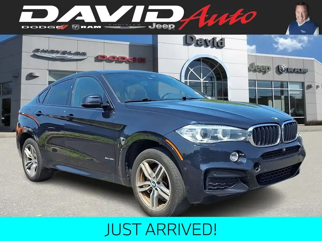 2019 BMW X6 xDrive35i's photo