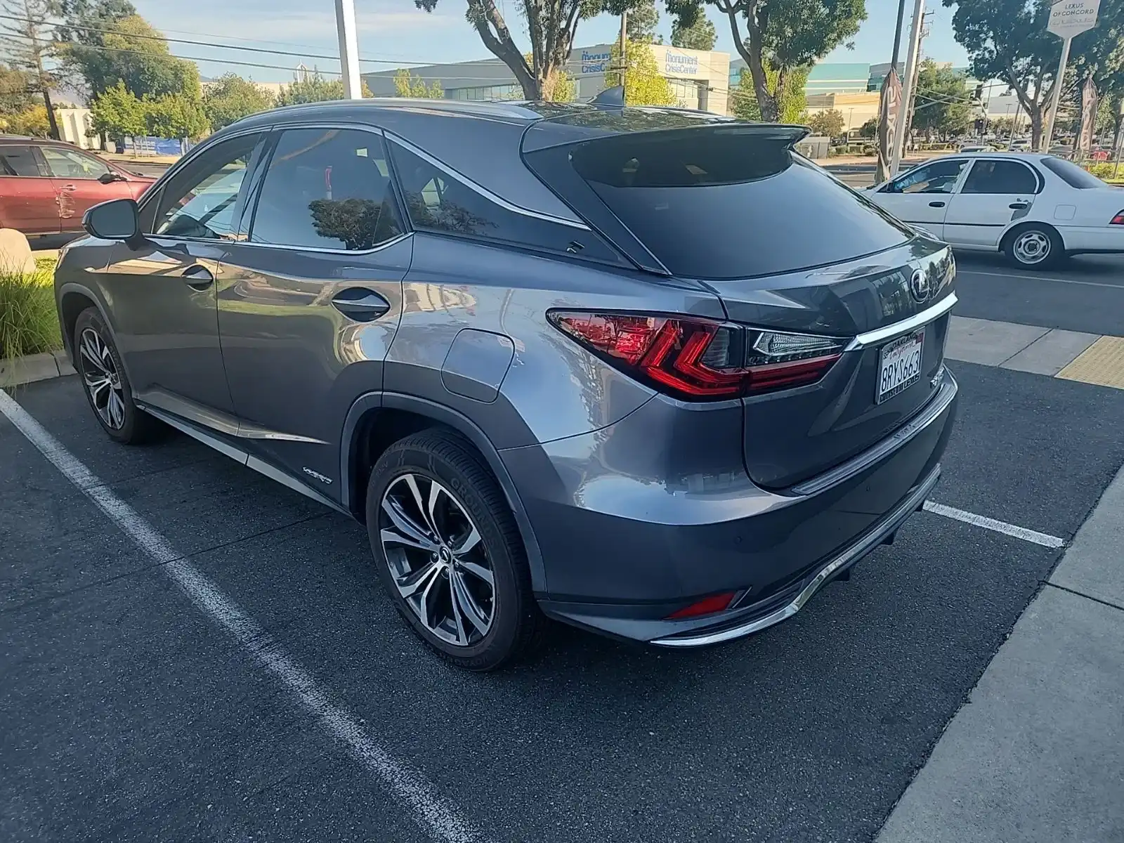 2020 Lexus RX 350h 450h AWD's photo