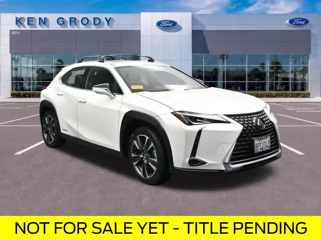 2020 Lexus UX 300h 250h AWD's photo