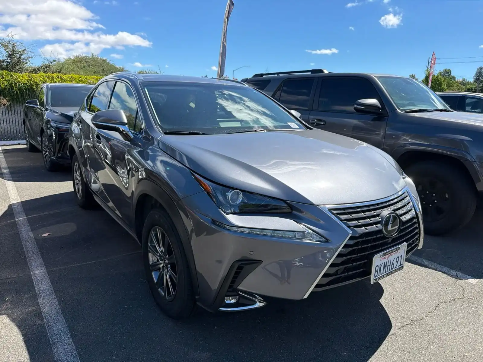 2019 Lexus NX 350 300 AWD's photo