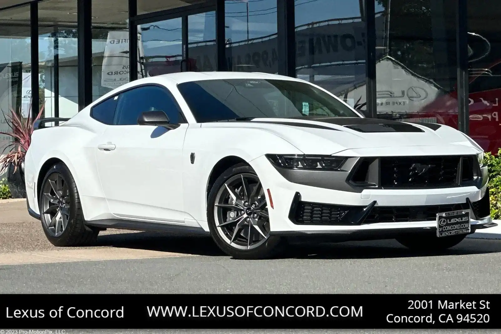 2024 Ford Mustang Dark Horse's photo
