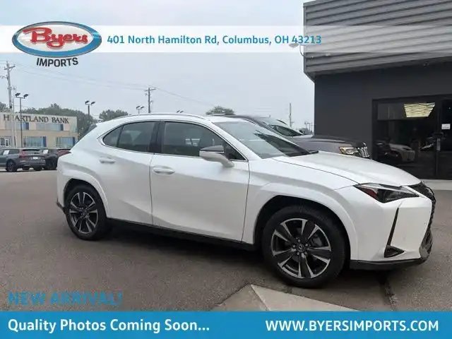 2023 Lexus UX 300h 250h Premium's photo