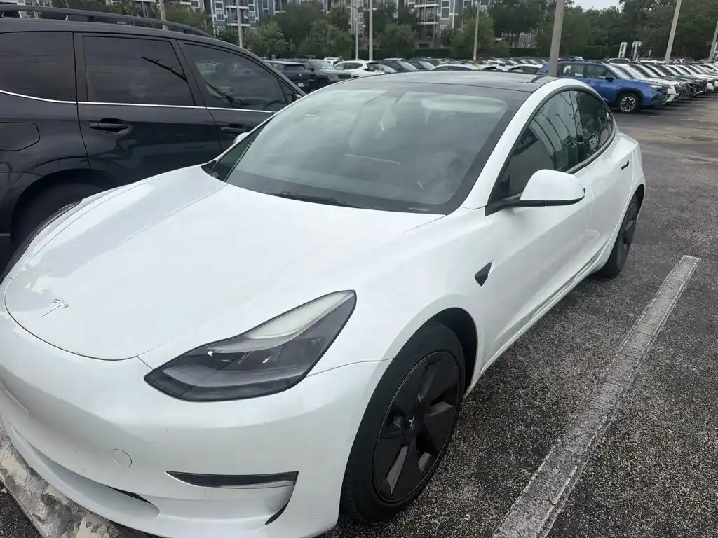2021 Tesla Model 3 Standard Range Plus's photo