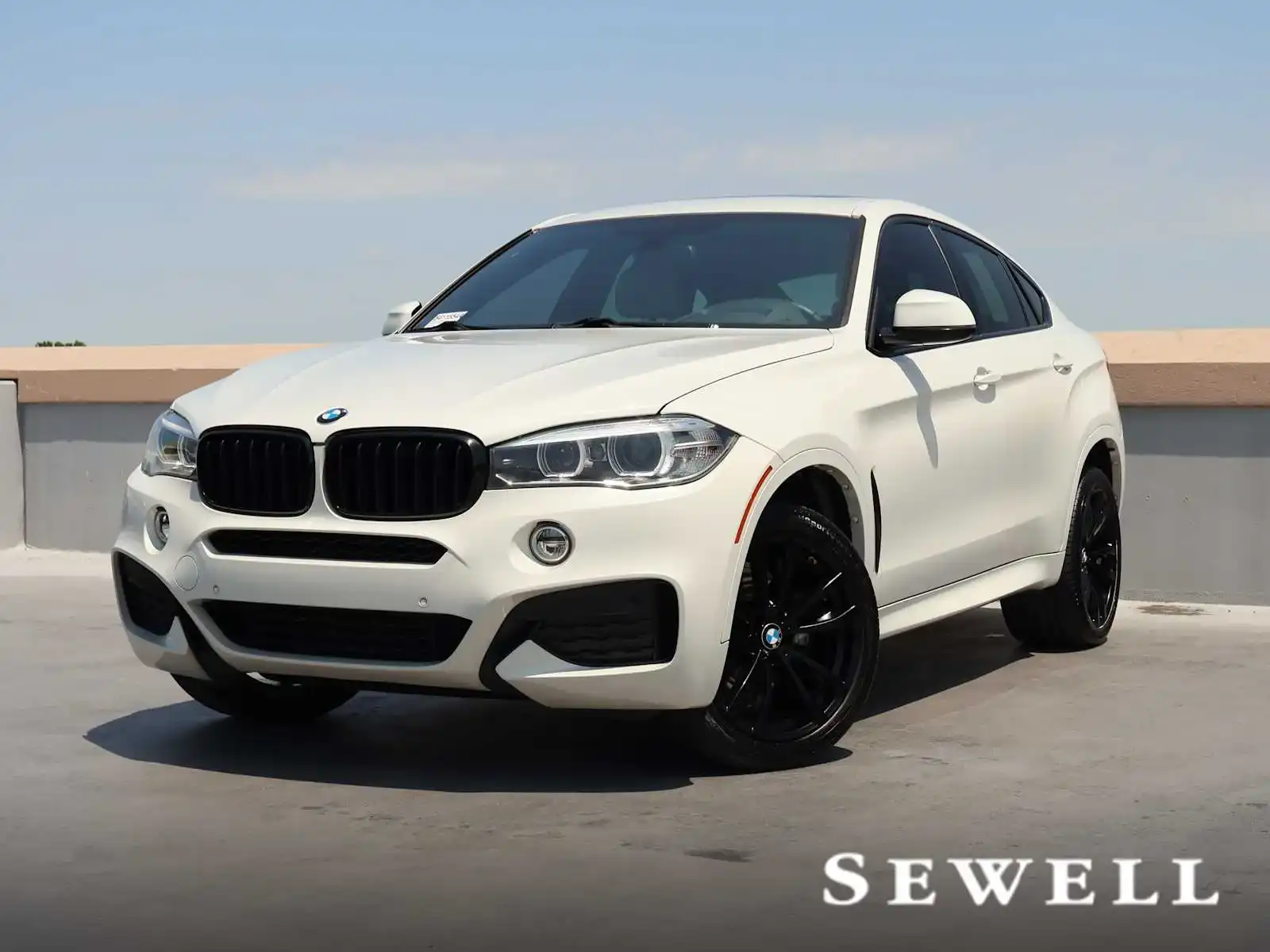 2017 BMW X6 xDrive35i's photo