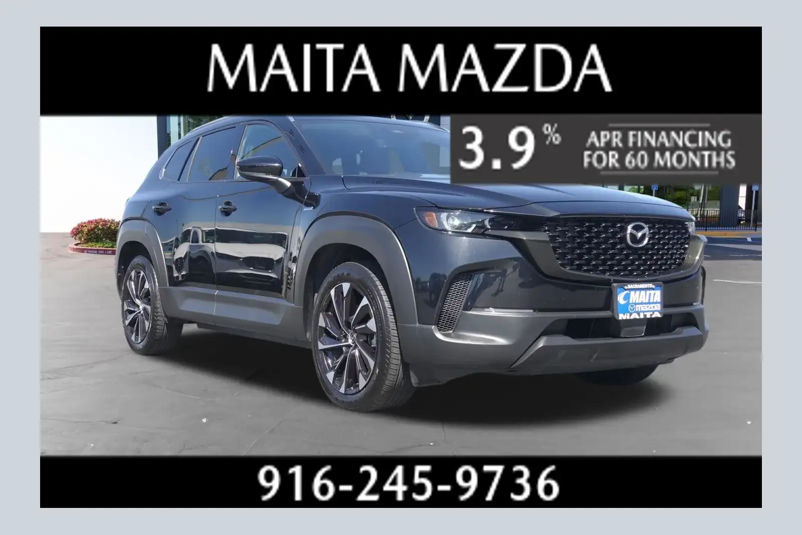 2025 Mazda CX-50 2.5 Hybrid Premium Plus's photo