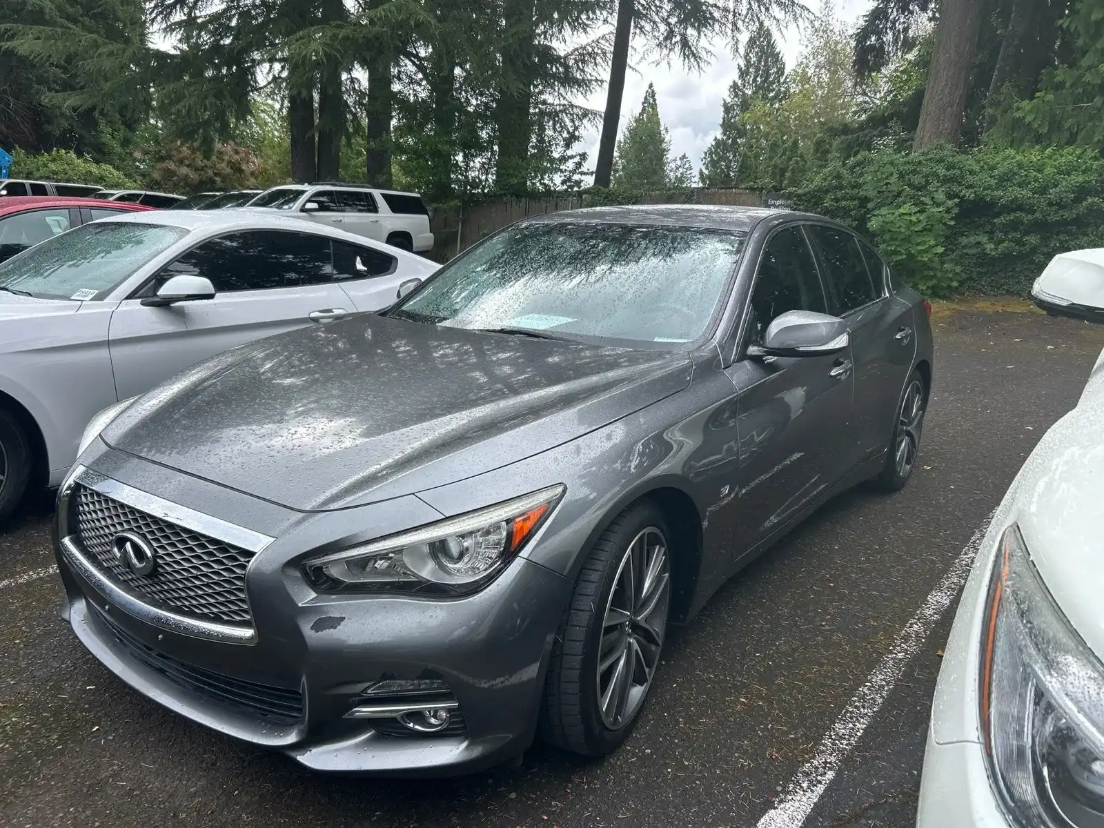 2015 INFINITI Q50 Premium's photo