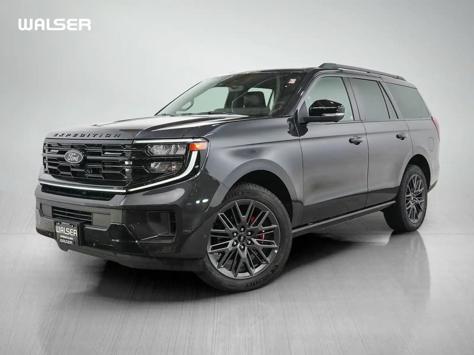 2025 Ford Expedition Platinum's photo