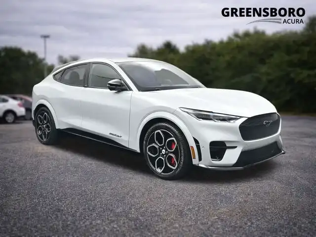 2023 Ford Mustang-Mach-e GT's photo