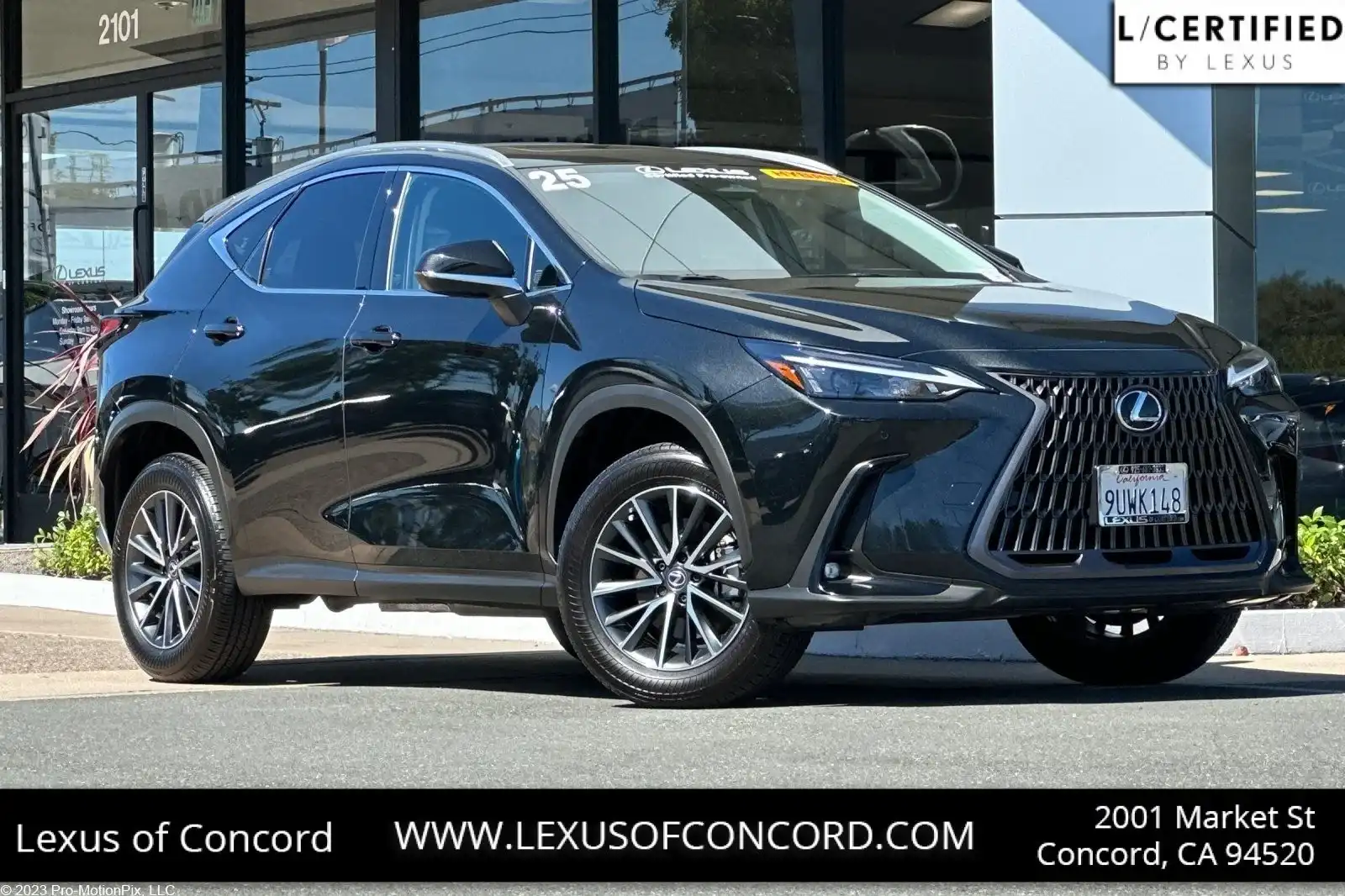2025 Lexus NX 350h 350h Premium AWD's photo
