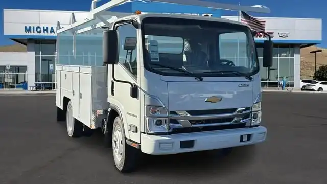 2025 Chevrolet Low Cab Forward 4500 Gas 176" WB Regular Cab's photo
