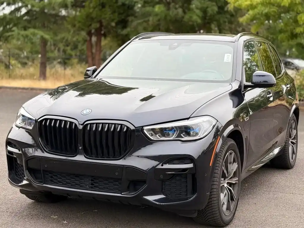 2023 BMW X5 xDrive45e's photo