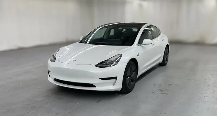 2020 Tesla Model 3 Standard Range Plus's photo