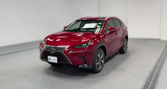 2019 Lexus NX 350 300 AWD's photo