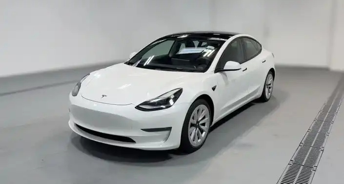 2021 Tesla Model 3 Standard Range Plus's photo