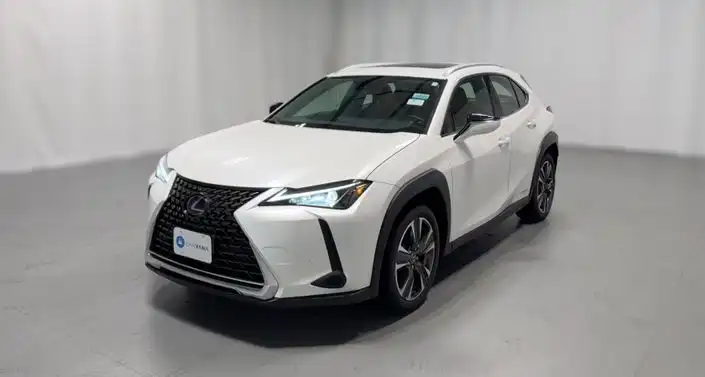 2020 Lexus UX 300h 250h AWD's photo
