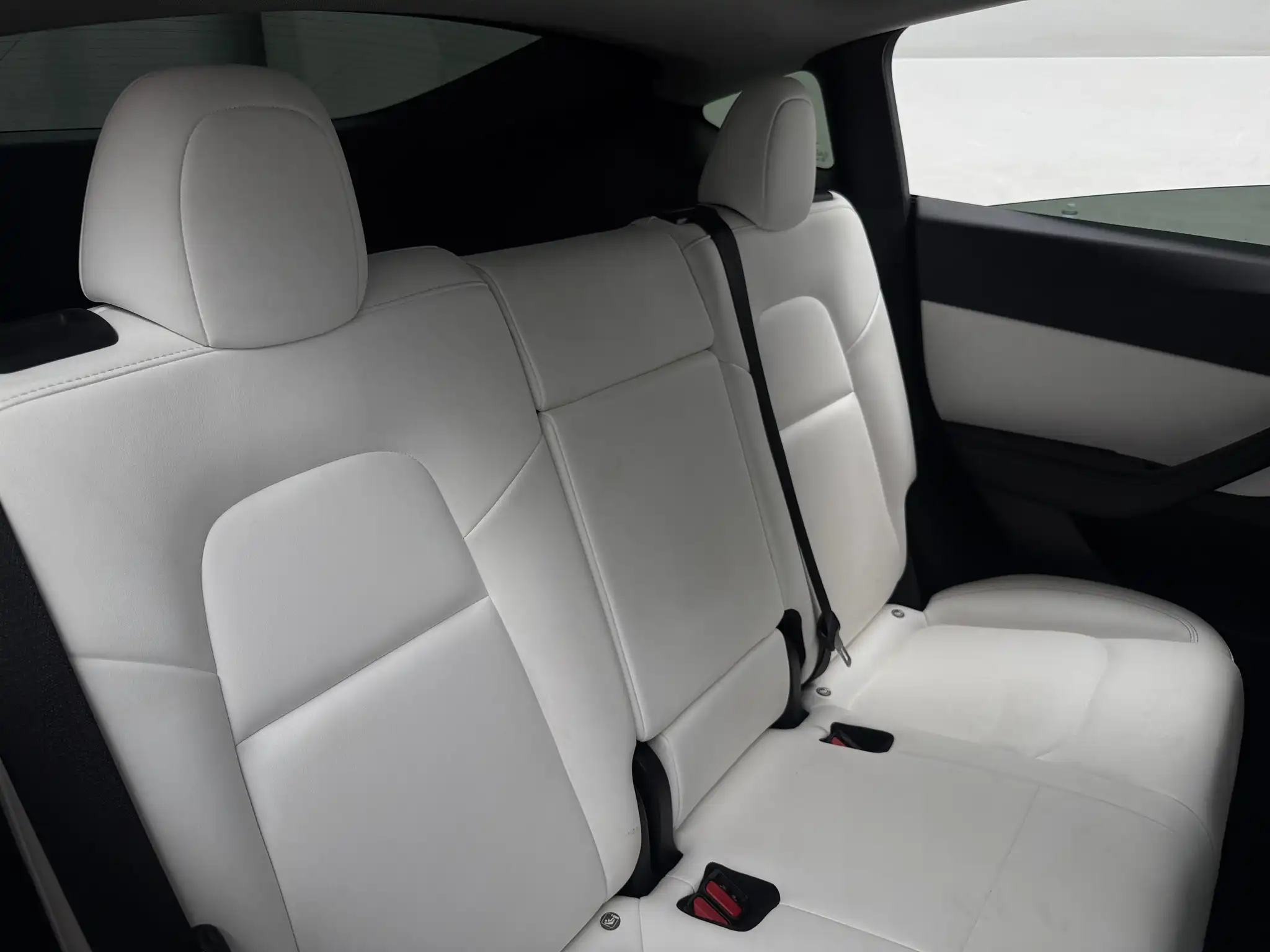 2021 Tesla Model Y Performance Dual Motor AWD's photo