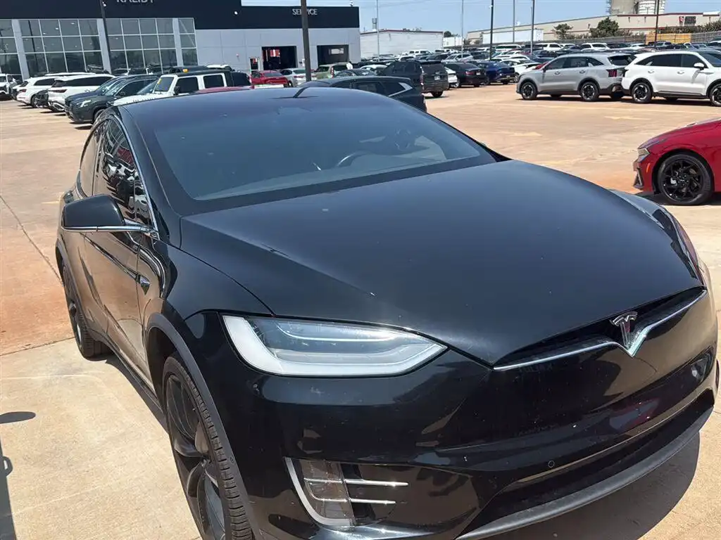 2021 Tesla Model X Performance's photo