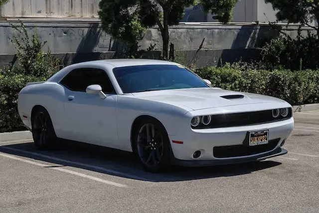 2019 Dodge Challenger R/T photo 3