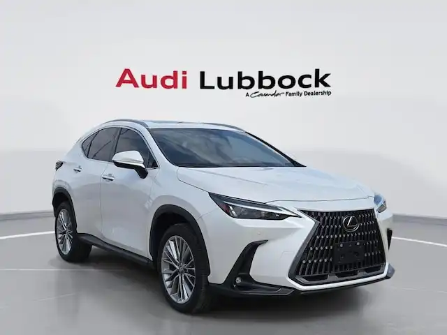 2025 Lexus NX 350 350 Premium AWD's photo