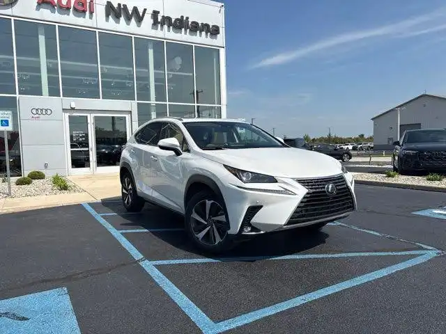 2020 Lexus NX 350h 300h AWD's photo