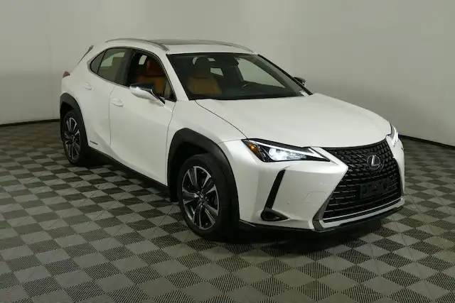 2019 Lexus UX 300h 250h AWD's photo