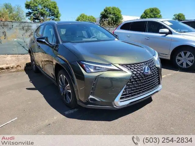 2022 Lexus UX 300h 250h AWD's photo