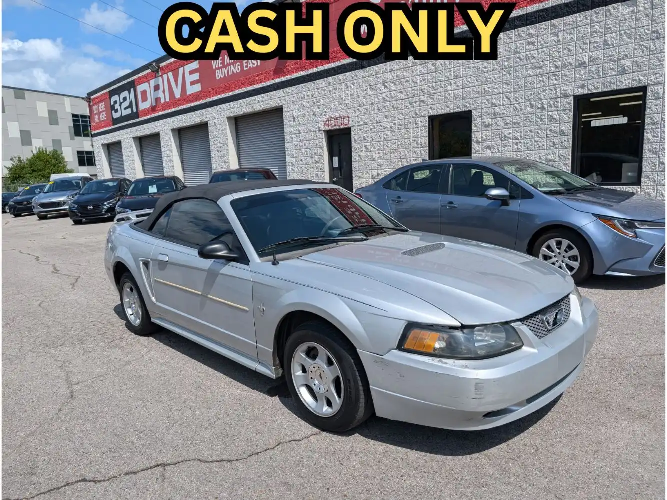 2003 Ford Mustang's photo