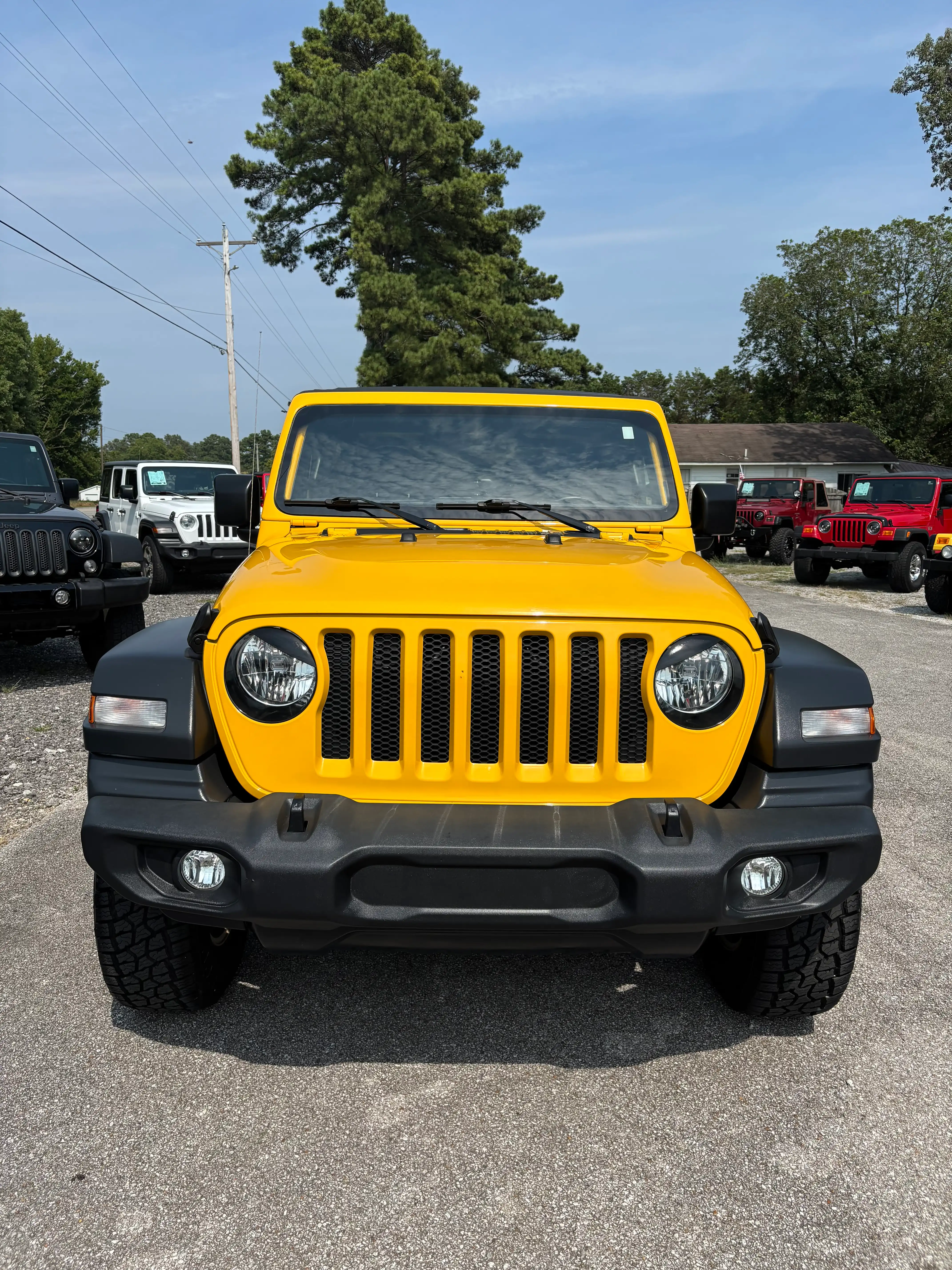 2019 Jeep Wrangler Sport S's photo