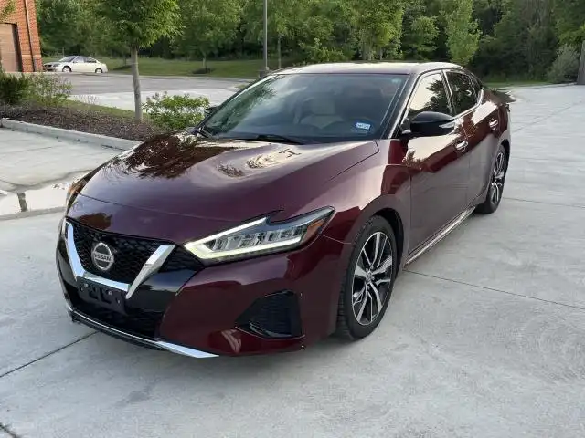 2019 Nissan Maxima SV's photo