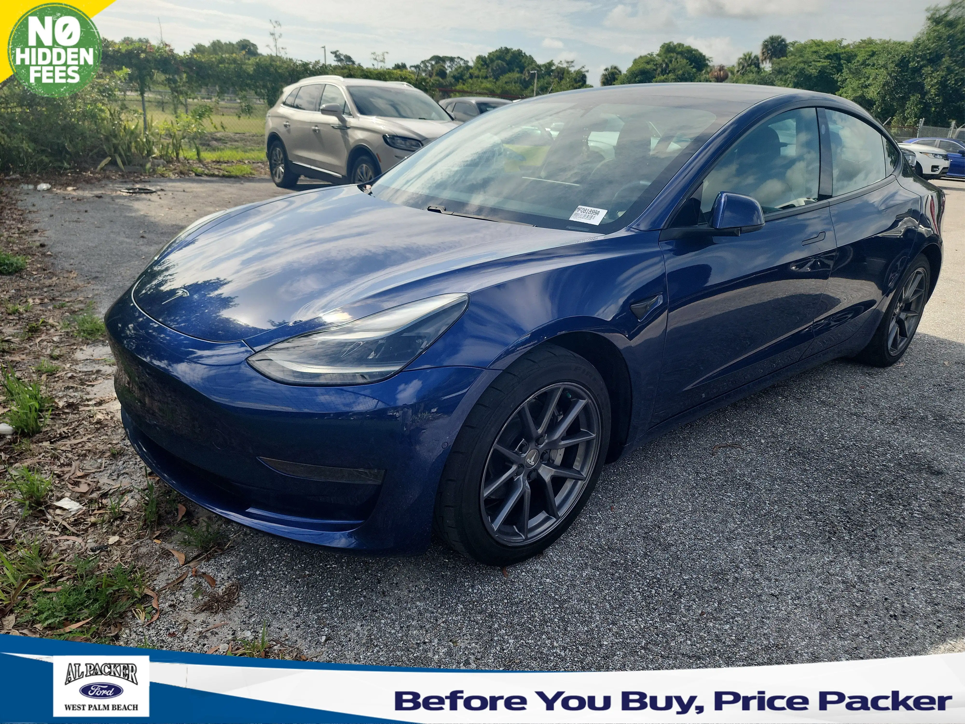 2021 Tesla Model 3 Standard Range Plus's photo