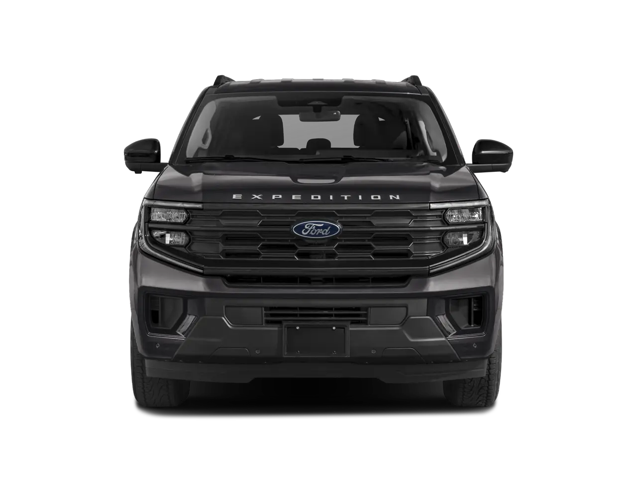 2025 Ford Expedition Active MAX photo 4