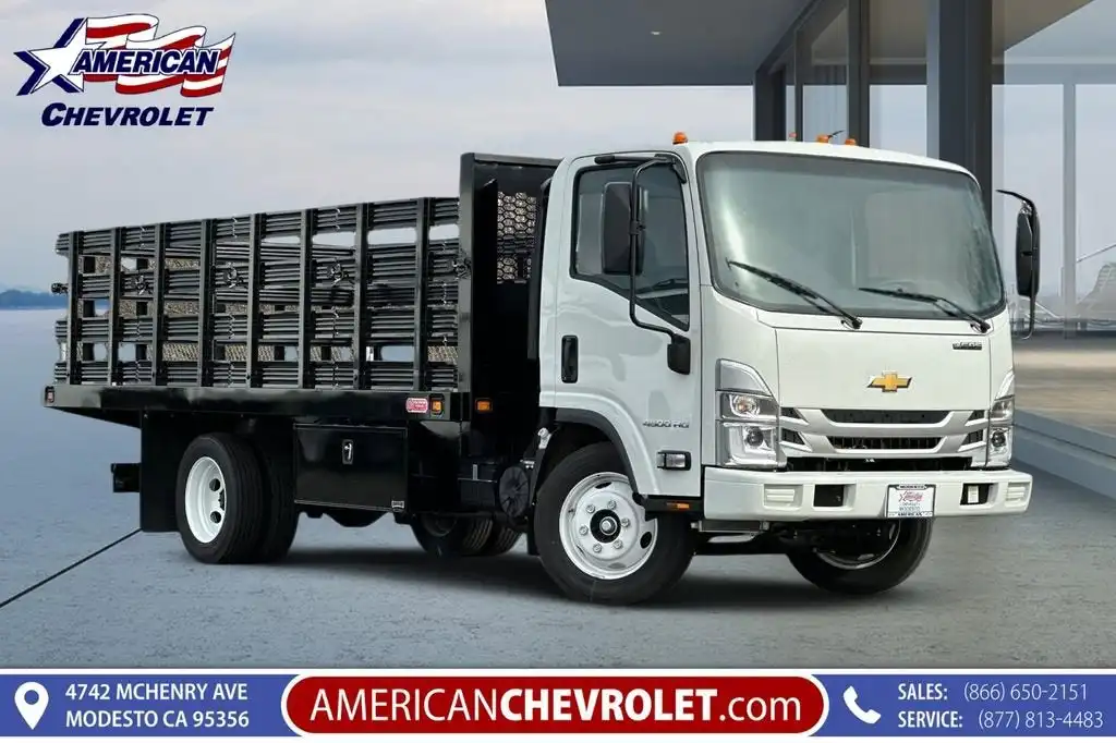 2025 Chevrolet Low Cab Forward 4500 Gas 176" WB Regular Cab's photo