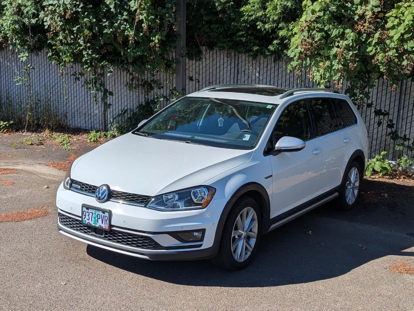 2017 Volkswagen Golf Alltrack TSI SE 4Motion DSG's photo