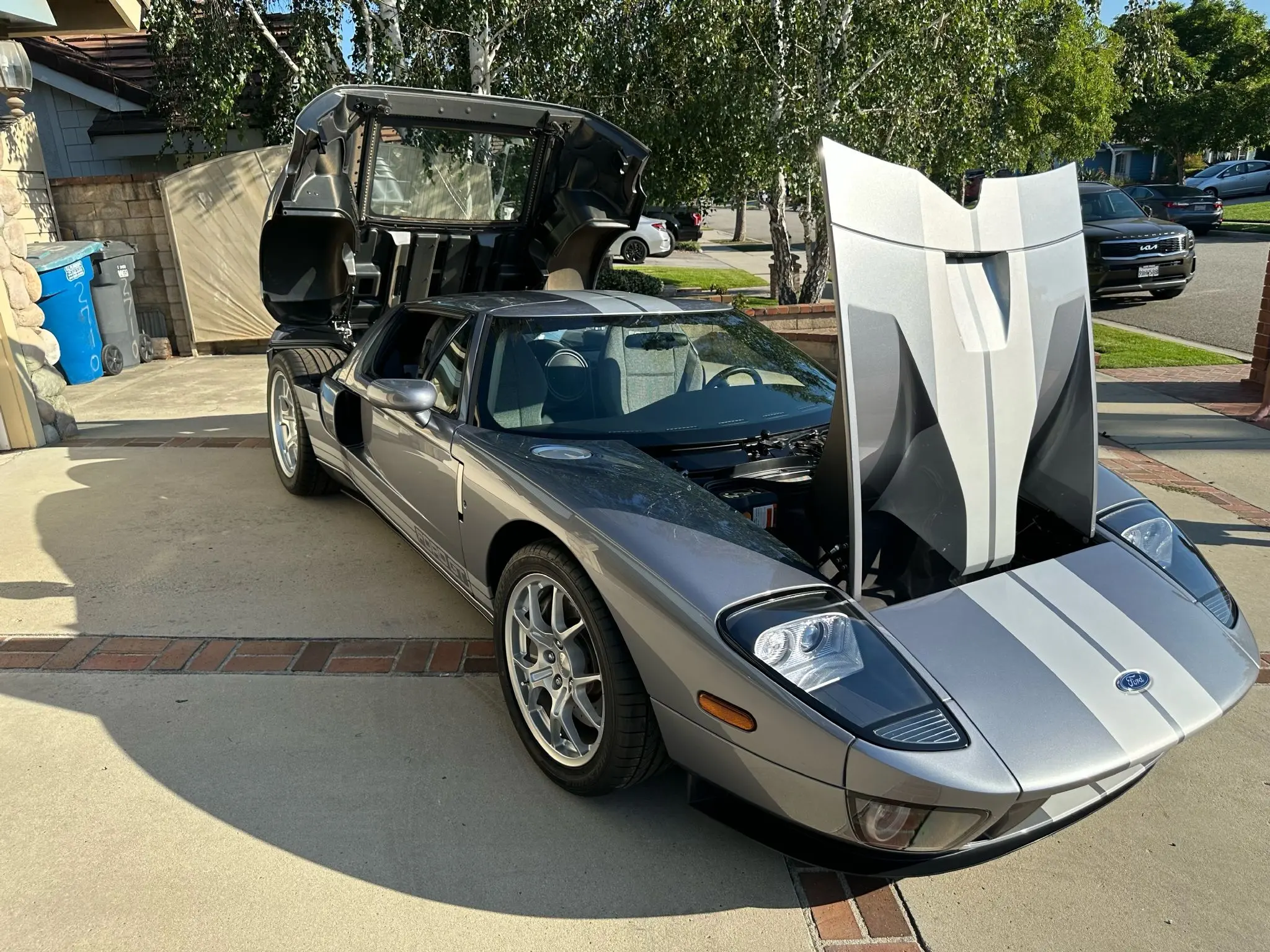 2006 Ford GT Base photo 5