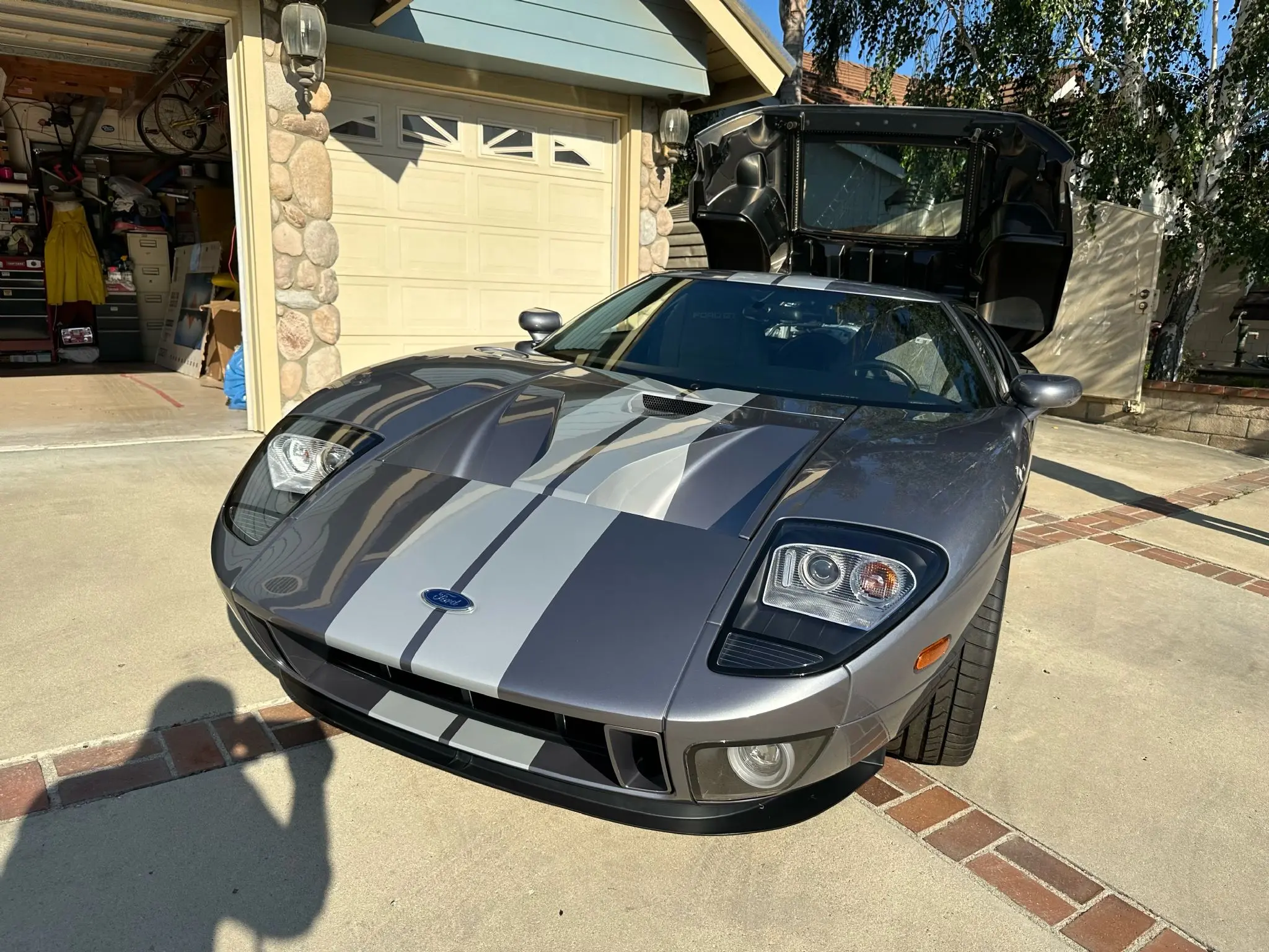 2006 Ford GT Base photo 3