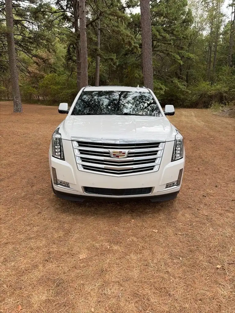 2020 Cadillac Escalade Platinum AWD's photo