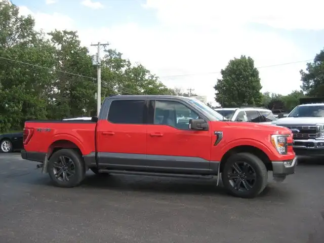 2023 Ford F-150 XLT 4WD SuperCrew 5-1/2' Box's photo