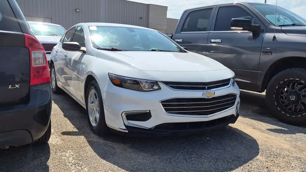 2018 Chevrolet Malibu 1FL (Fleet)'s photo