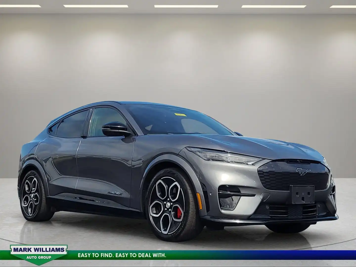 2023 Ford Mustang-Mach-e GT's photo