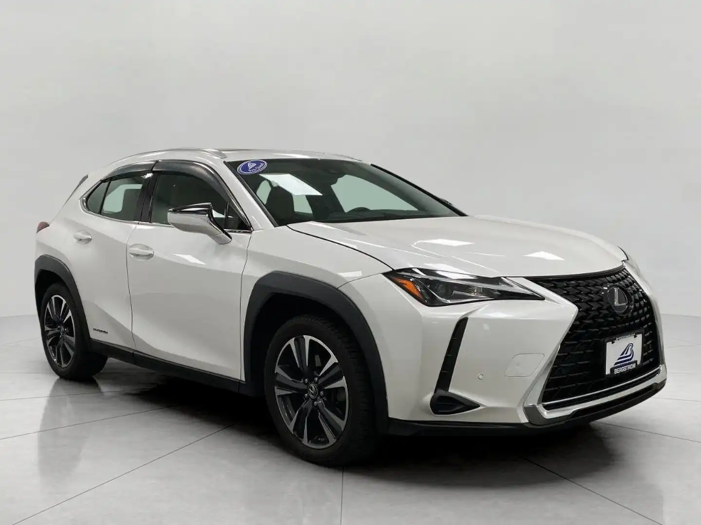 2021 Lexus UX 300h 250h AWD's photo