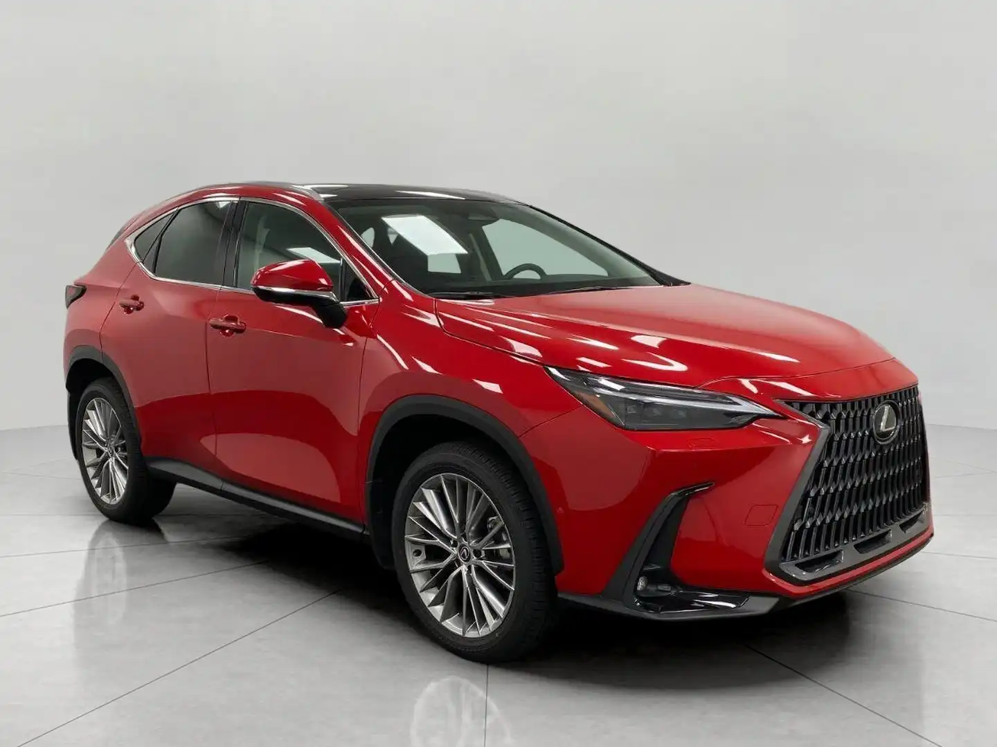 2025 Lexus NX 350h 350h Luxury AWD's photo