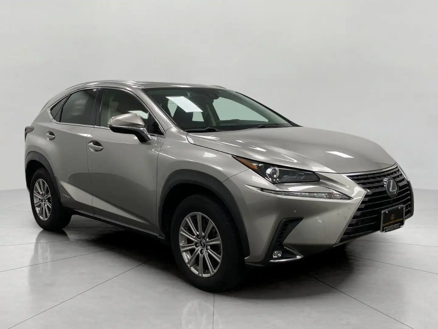 2021 Lexus NX 350h 300h AWD's photo