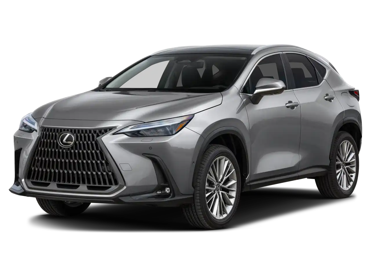 2026 Lexus NX 350h 350h Luxury AWD's photo