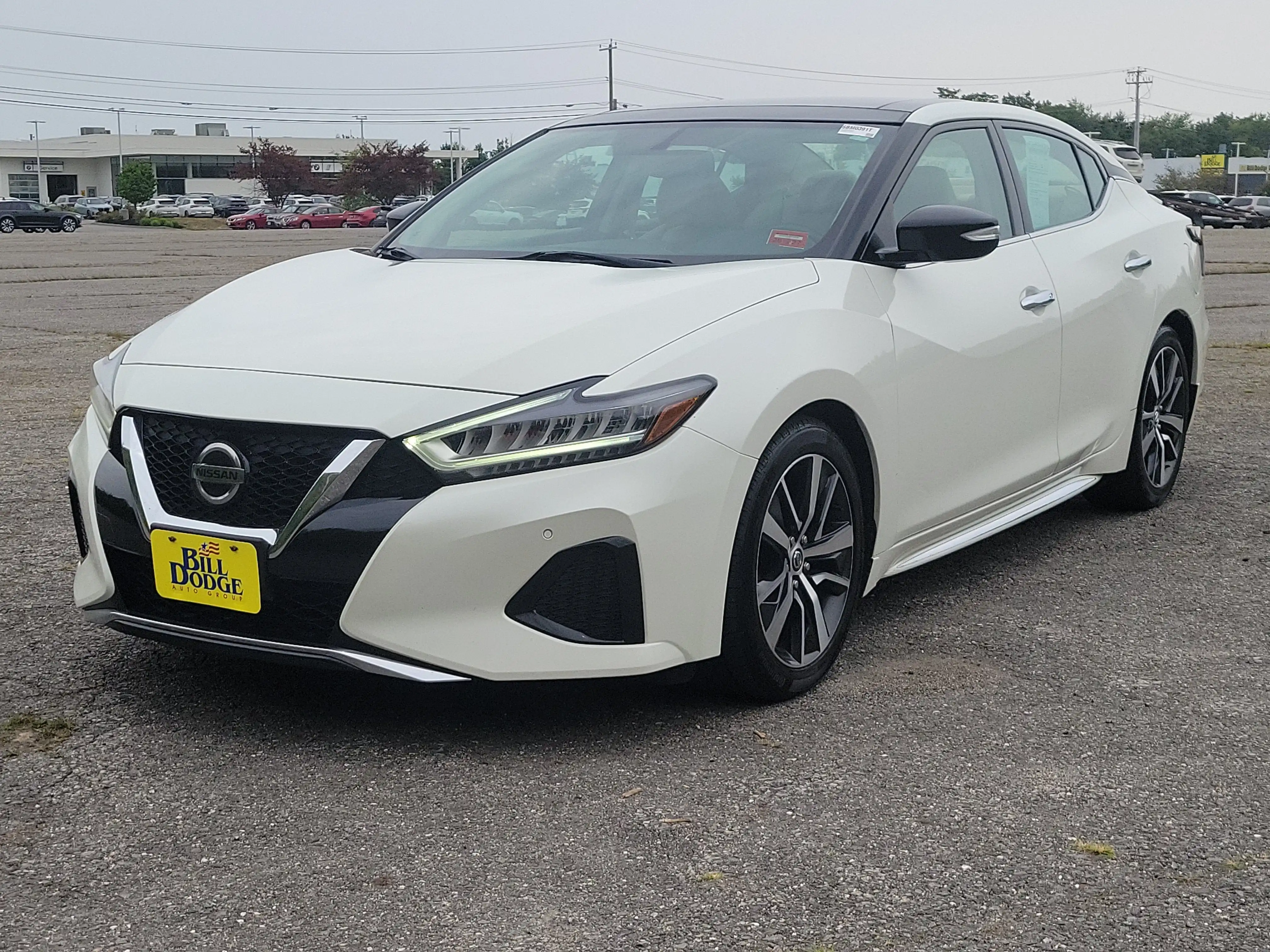 2019 Nissan Maxima SL's photo