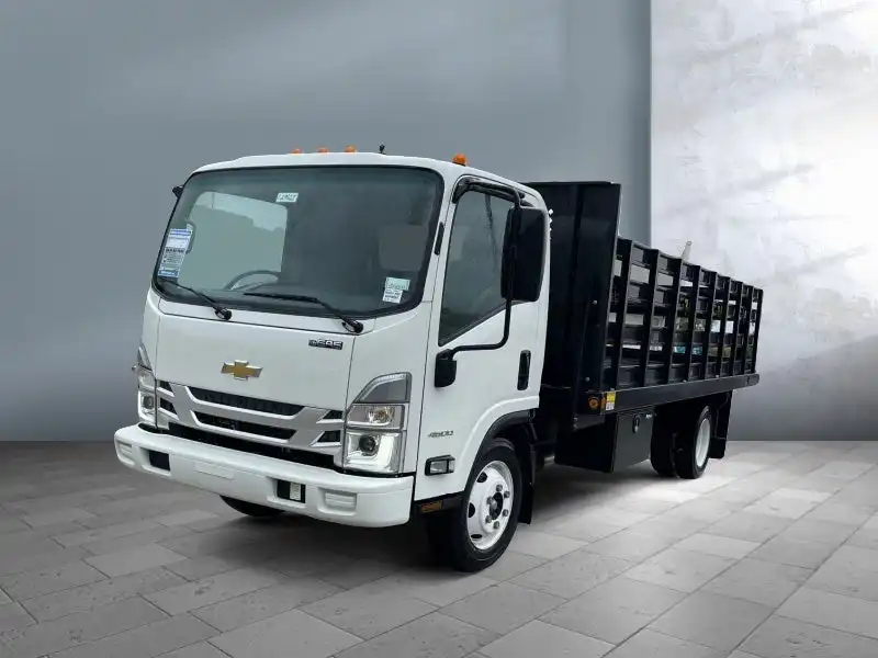 2023 Chevrolet Low Cab Forward 4500 Gas 176" WB Regular Cab's photo