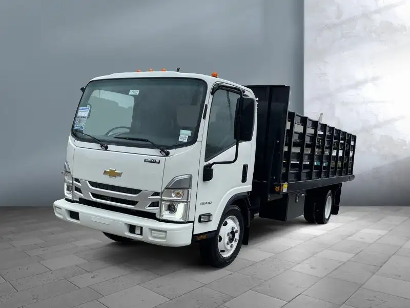 2023 Chevrolet Low Cab Forward 4500 Gas 176" WB Regular Cab's photo