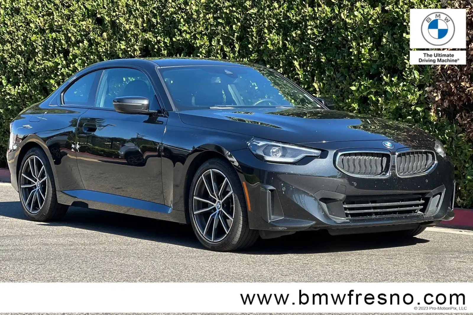 2024 BMW 2 Series 230i xDrive Coupe's photo