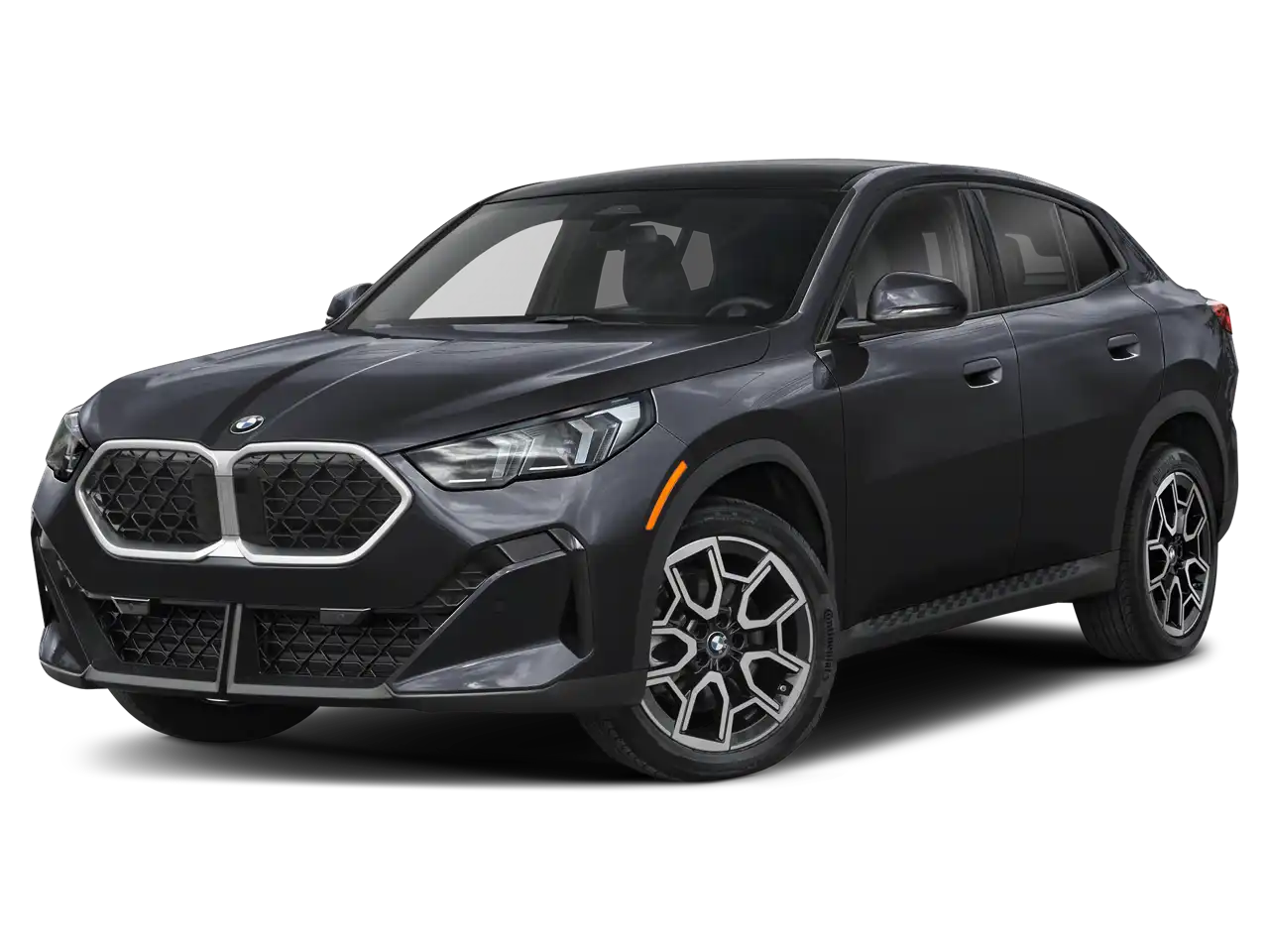 2026 BMW X2 xDrive28i's photo